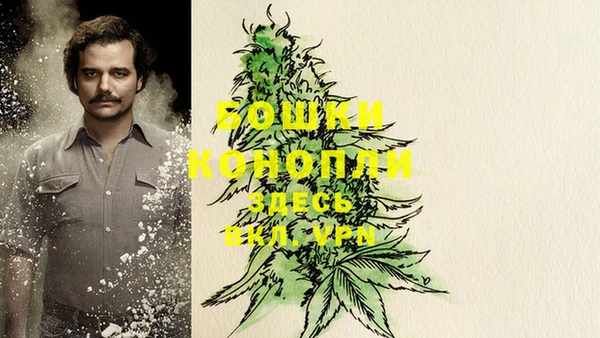 spice Белокуриха