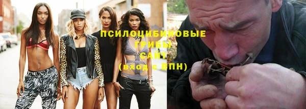 spice Белокуриха